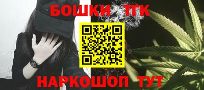 индика Кулебаки