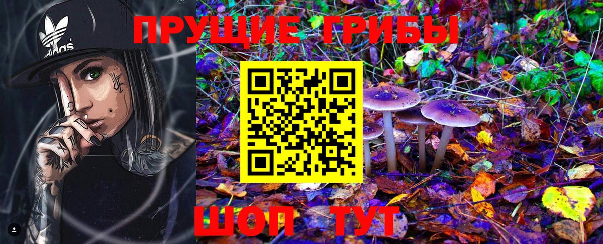 Псилоцибиновые грибы GOLDEN TEACHER Йошкар-Ола